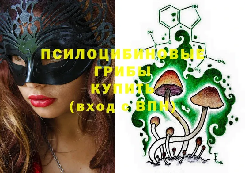 Галлюциногенные грибы Psilocybe  kraken tor  Богородск 